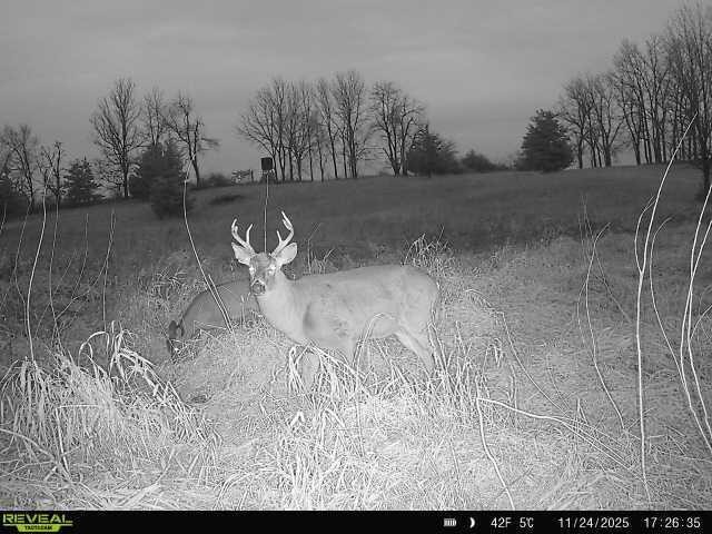 5111 Reading Road, Osseo, MI, 49266-9009