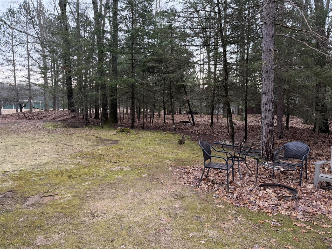 7139 W 5 Mile Road, Irons, MI, 49644-8954