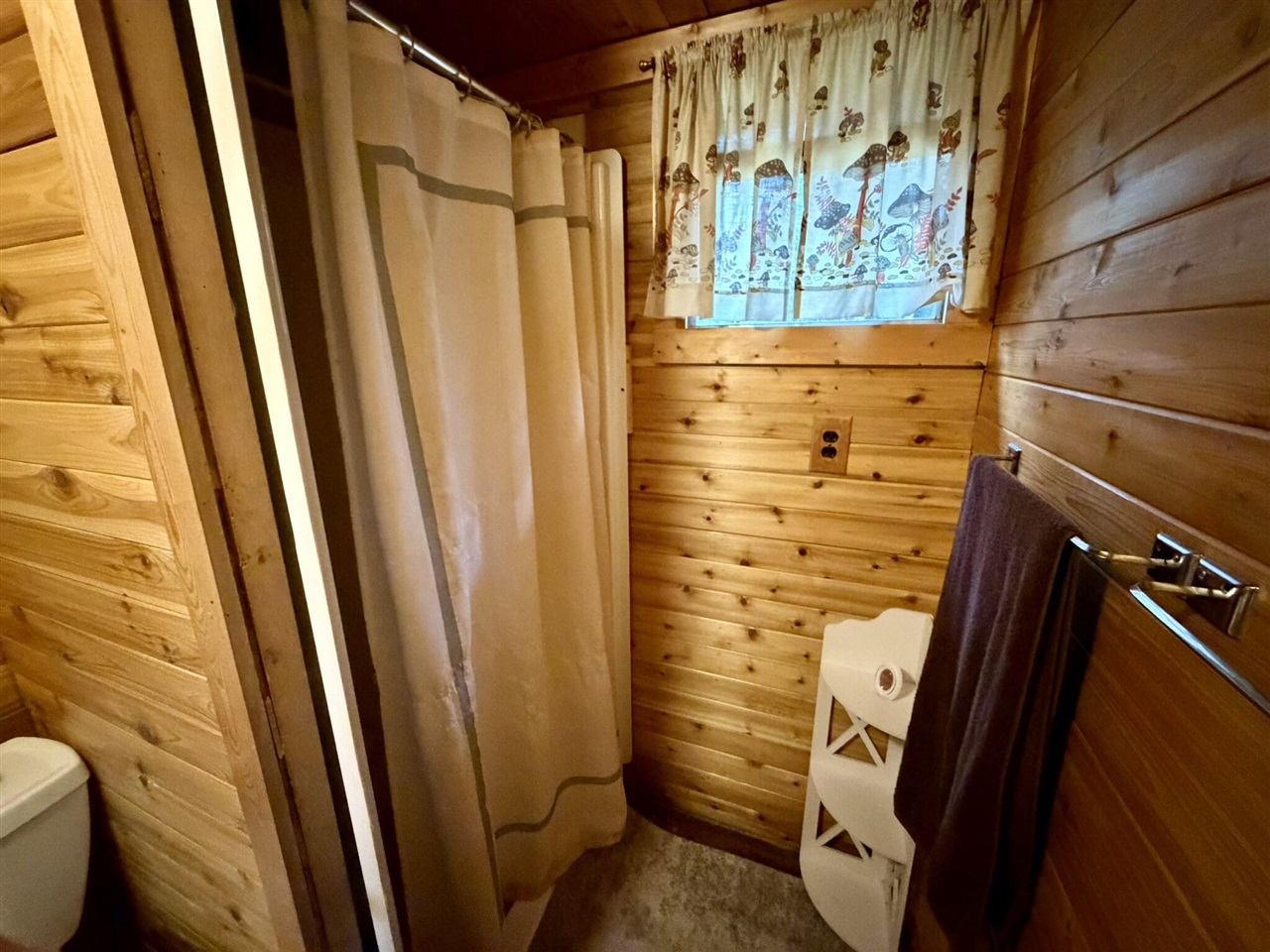 7139 W 5 Mile Road, Irons, MI, 49644-8954