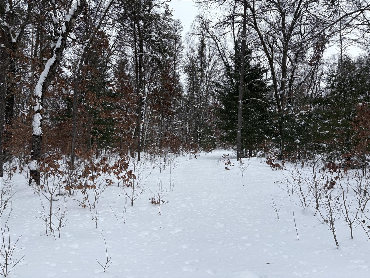 5222 S Broadway Road, Idlewild, MI, 49642-8569