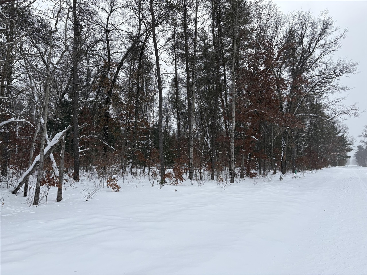 5222 S Broadway Road, Idlewild, MI, 49642-8569