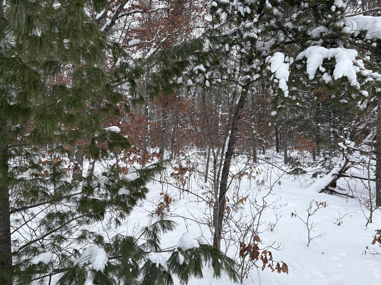 5222 S Broadway Road, Idlewild, MI, 49642-8569