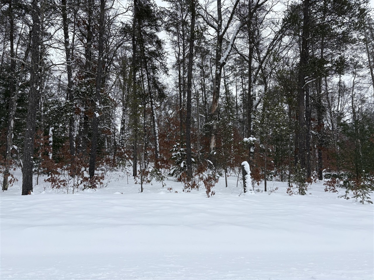 5222 S Broadway Road, Idlewild, MI, 49642-8569