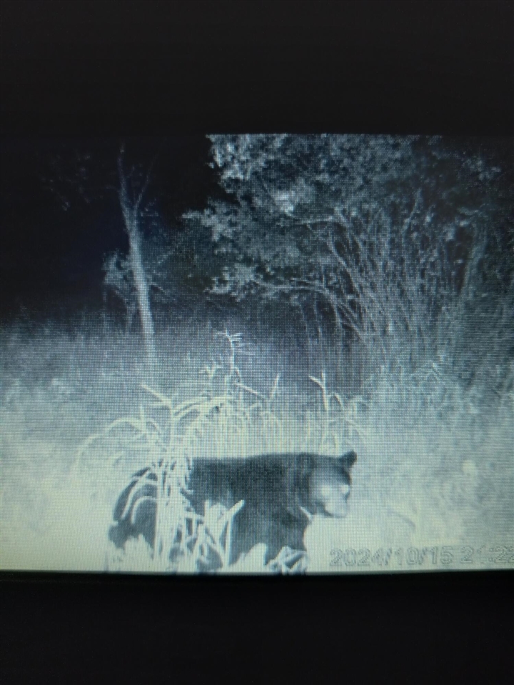 Homes for sale in Falmouth, MI | 5143 S 8 Mile Rd, Falmouth, MI 49632 | MLS# 70512373