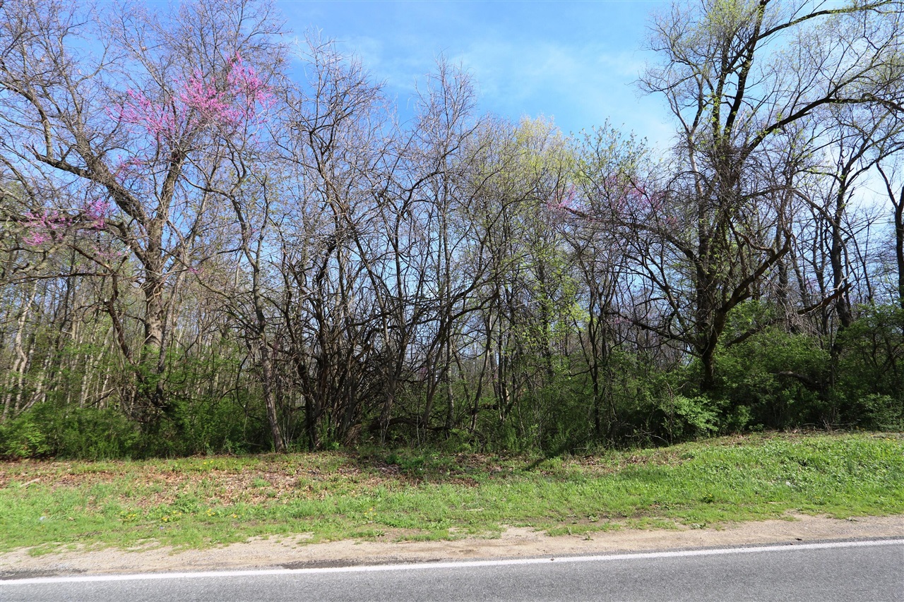 2807 S 13th Street, Niles, MI, 49120-4802