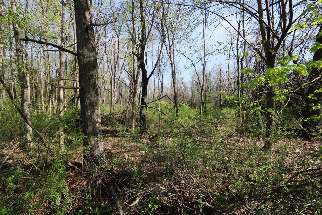 2807 S 13th Street, Niles, MI, 49120-4802