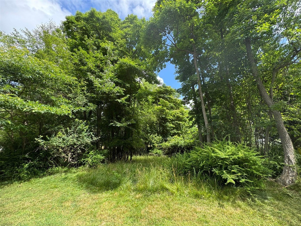 Homes for sale in Douglas, MI | 125 W Shore Woods Dr, Douglas, MI 49406 | MLS# 70512580