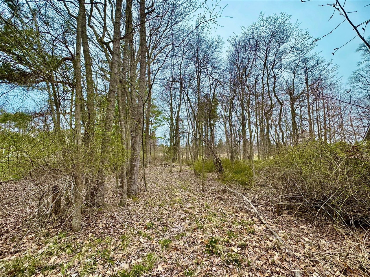 125 W Shore Woods Drive, Douglas, MI, 49406