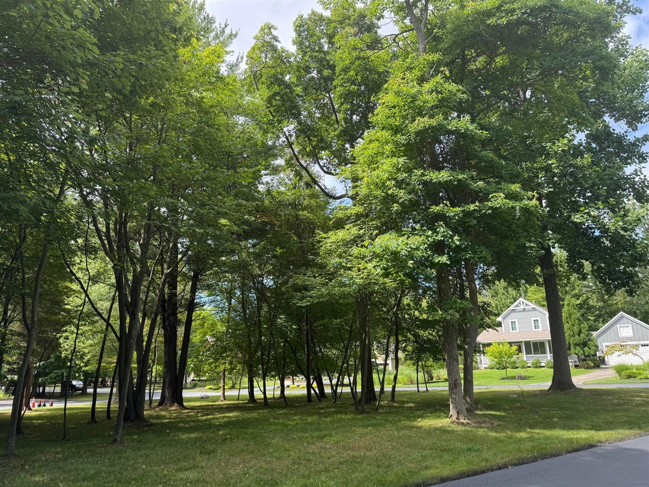 125 W Shore Woods Drive, Douglas, MI, 49406