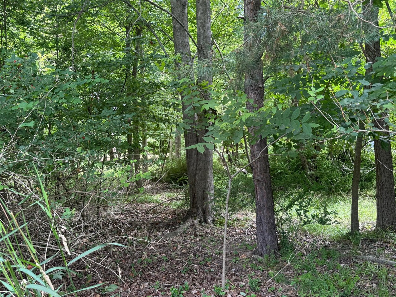 125 W Shore Woods Drive, Douglas, MI, 49406