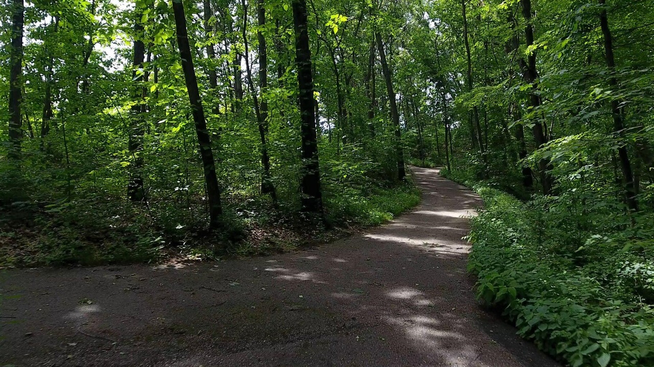 8272 Bainbridge Drive, Mattawan, MI, 49071-8402