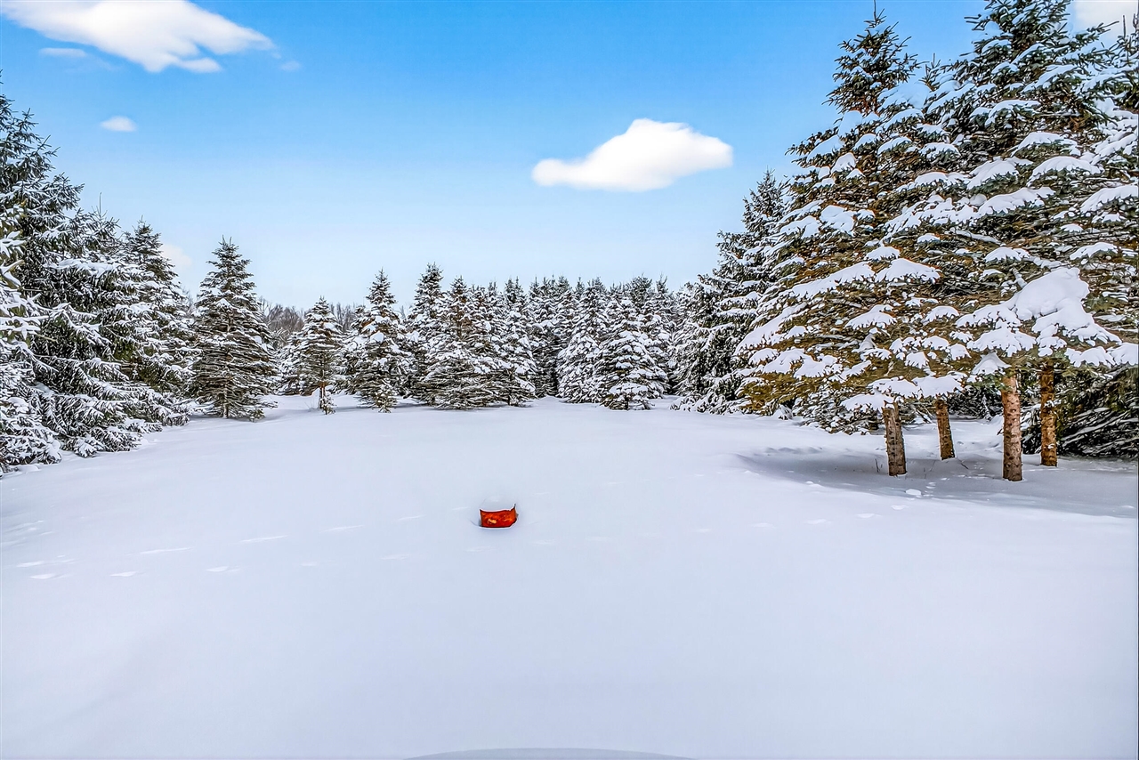 55 E Wilke Road, Rothbury, MI, 49452-8081