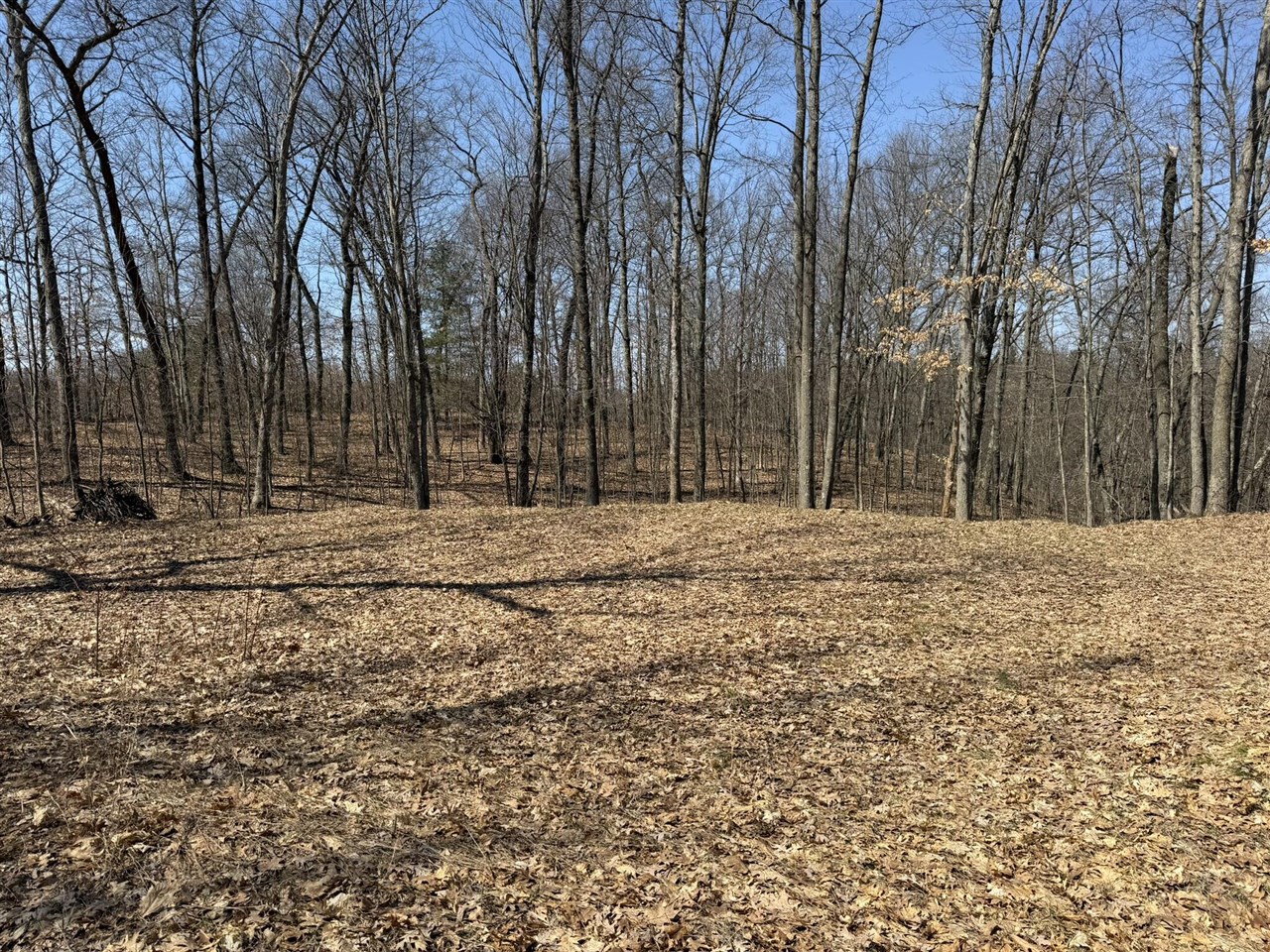 8180 N Echo Valley Drive, Irons, MI, 49644