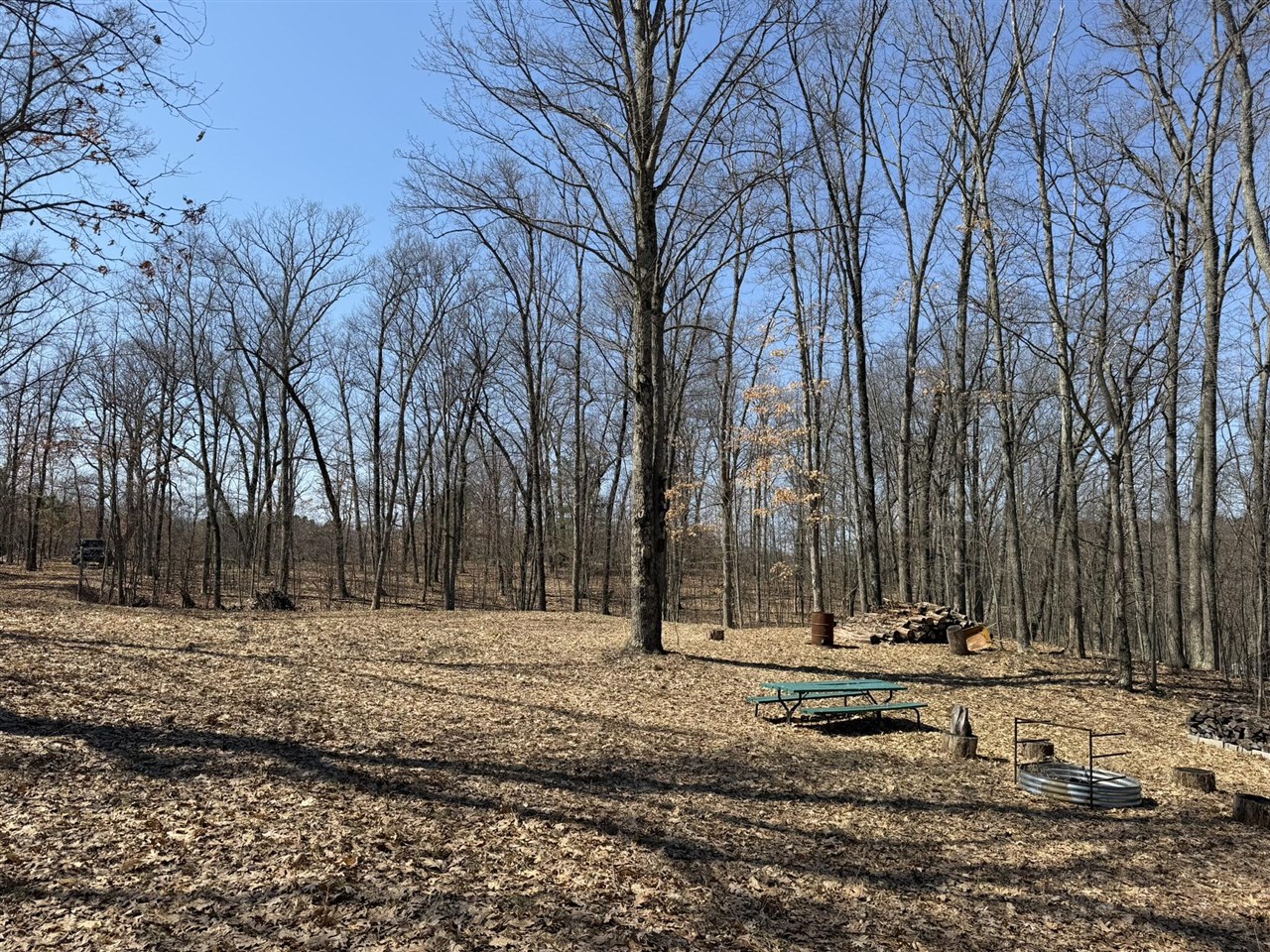 8180 N Echo Valley Drive, Irons, MI, 49644