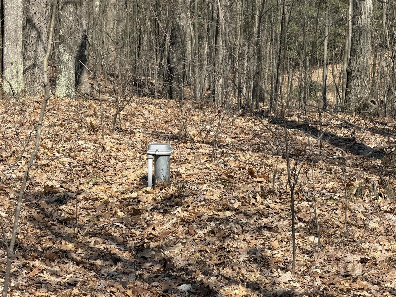 8180 N Echo Valley Drive, Irons, MI, 49644