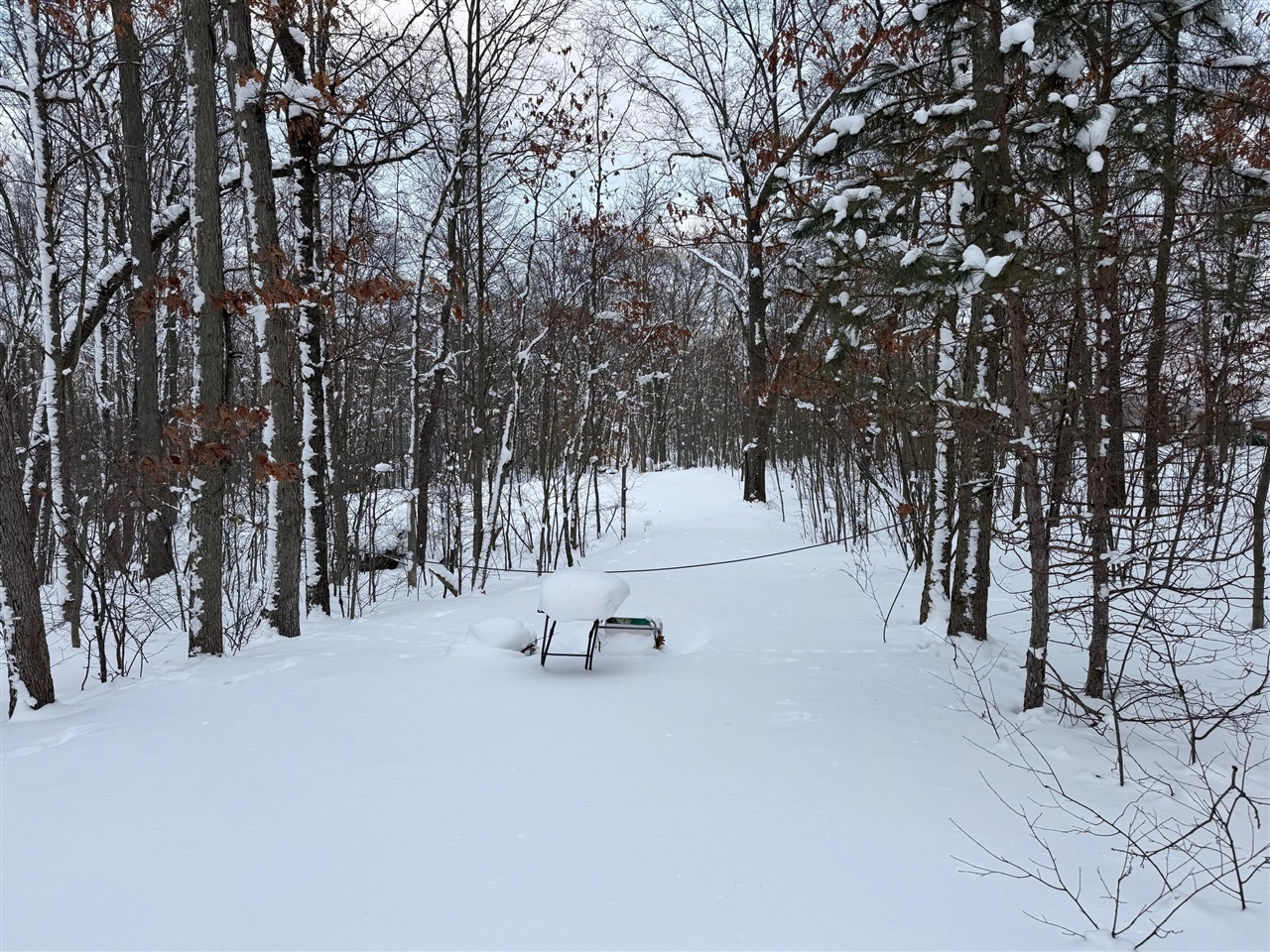 8180 N Echo Valley Drive, Irons, MI, 49644