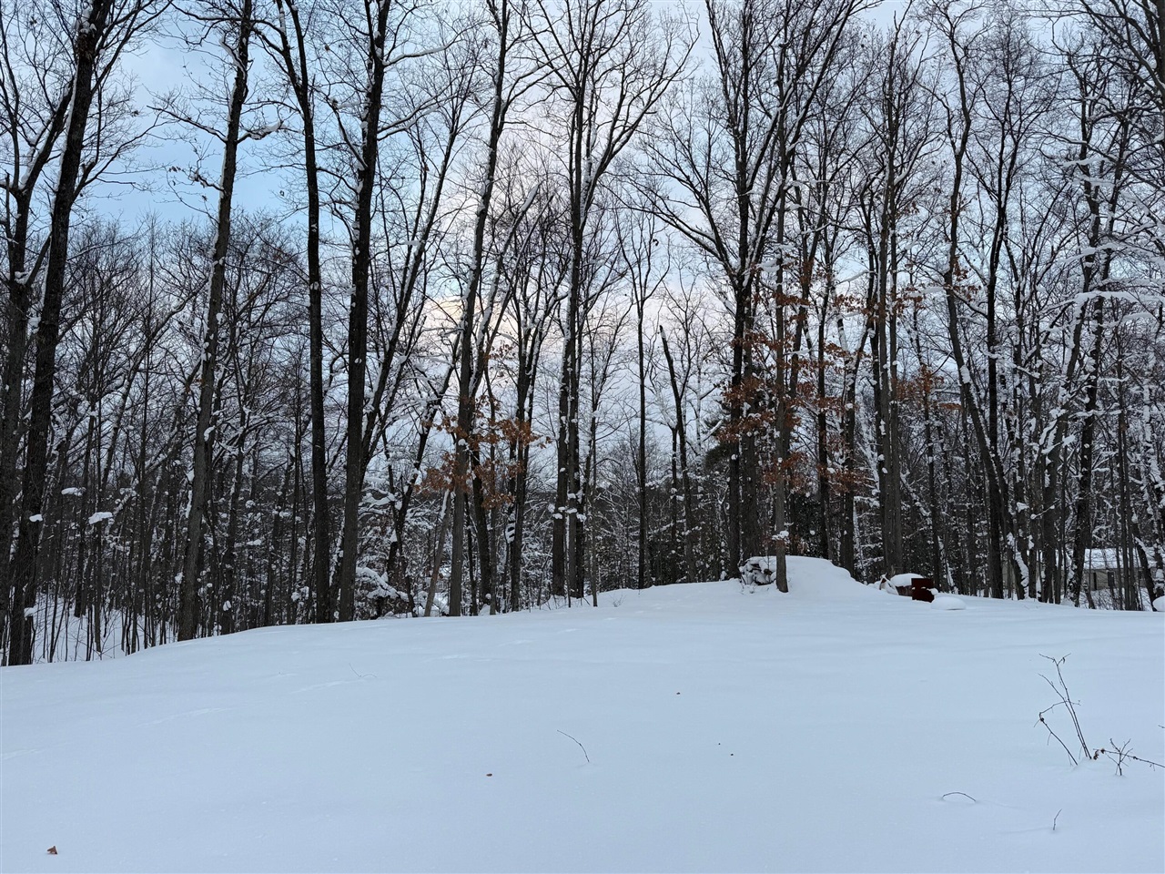 8180 N Echo Valley Drive, Irons, MI, 49644