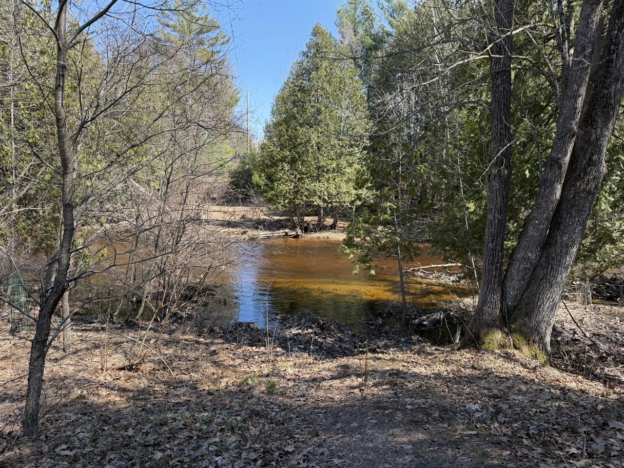 8180 N Echo Valley Drive, Irons, MI, 49644