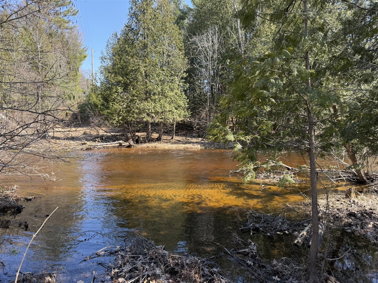 8180 N Echo Valley Drive, Irons, MI, 49644