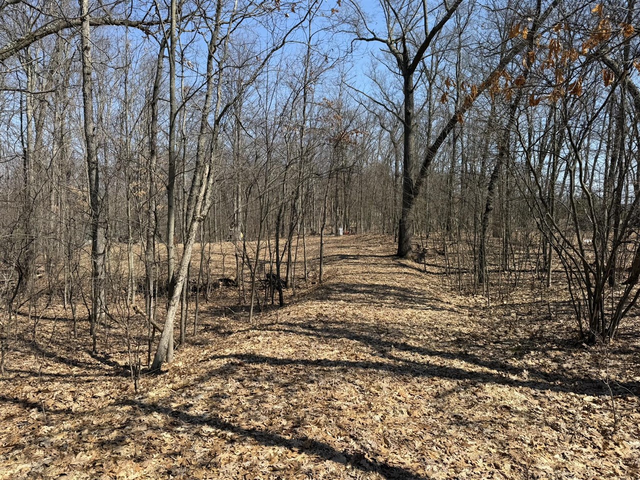 8180 N Echo Valley Drive, Irons, MI, 49644