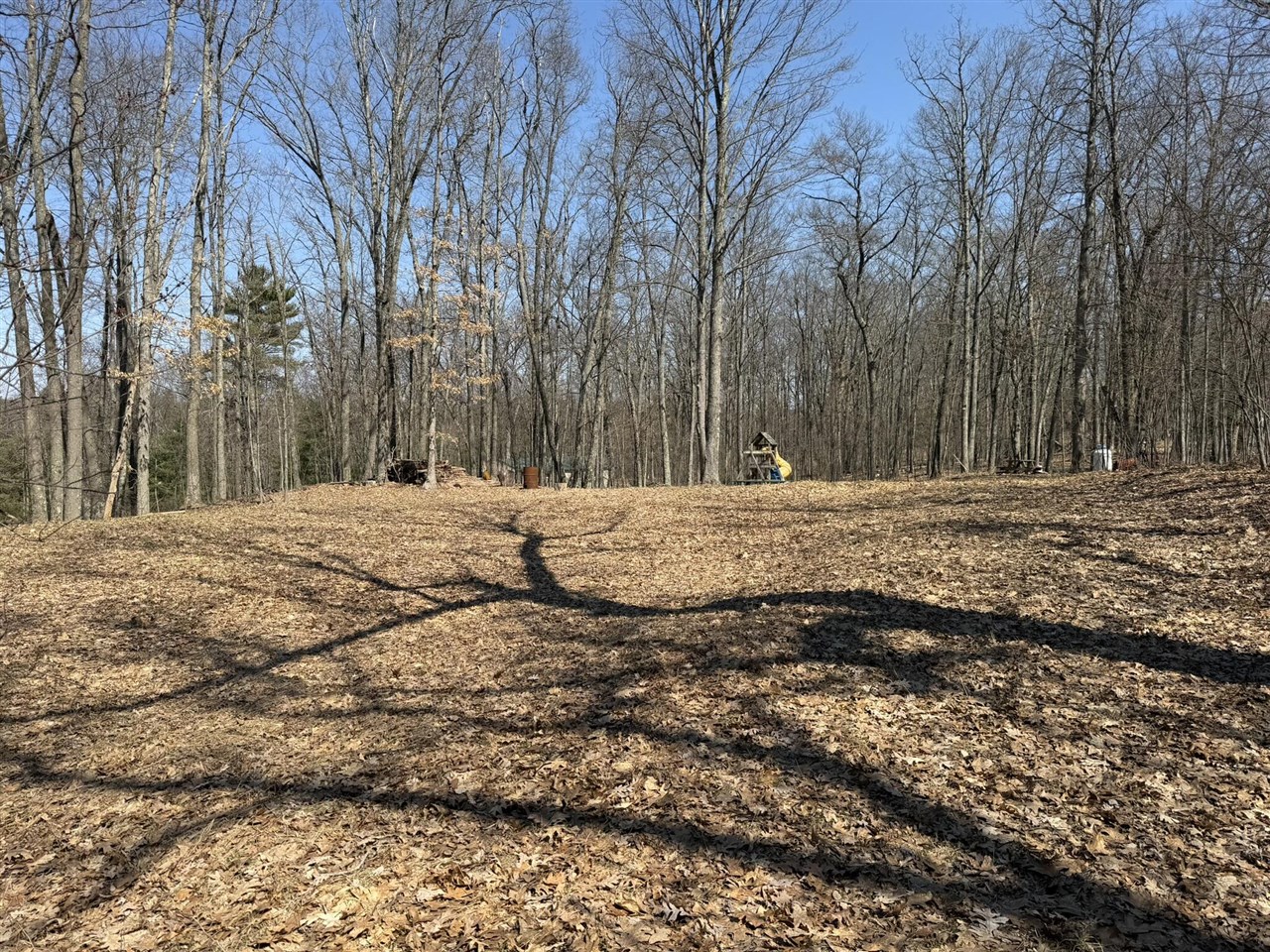 8180 N Echo Valley Drive, Irons, MI, 49644