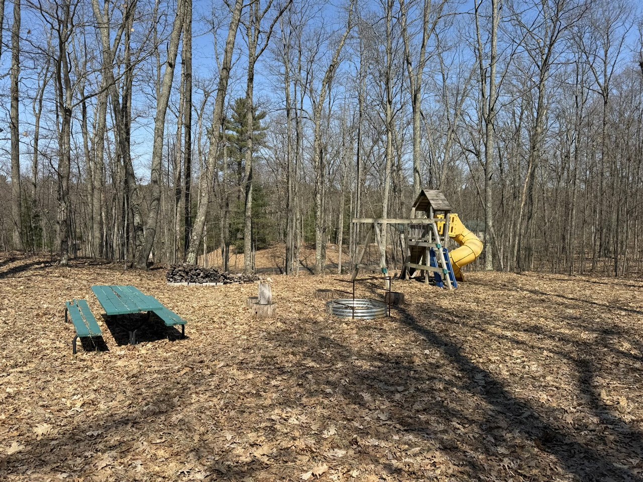 8180 N Echo Valley Drive, Irons, MI, 49644