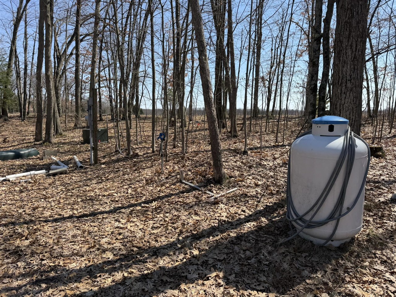 8180 N Echo Valley Drive, Irons, MI, 49644