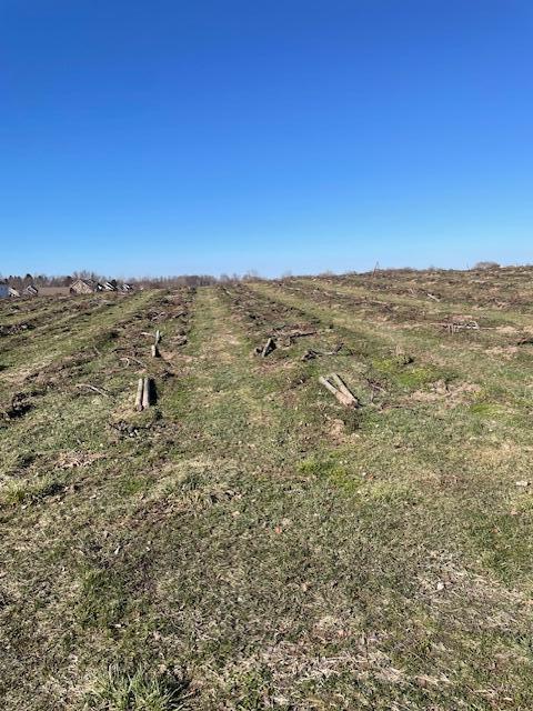 V/L Lauren Lane, Saint Joseph, MI, 49085