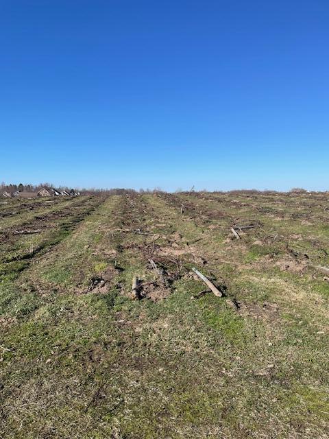 V/L Lauren Lane, Saint Joseph, MI, 49085