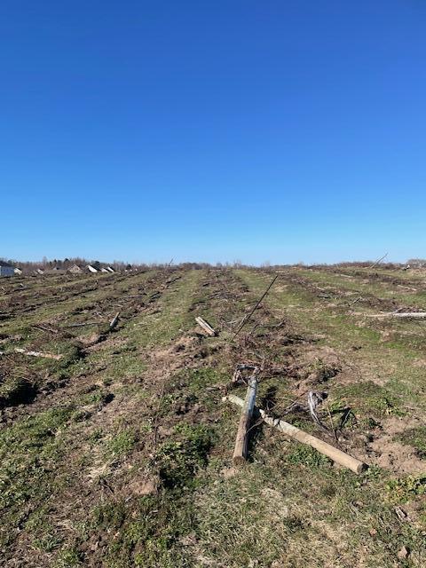 V/L Lauren Lane, Saint Joseph, MI, 49085