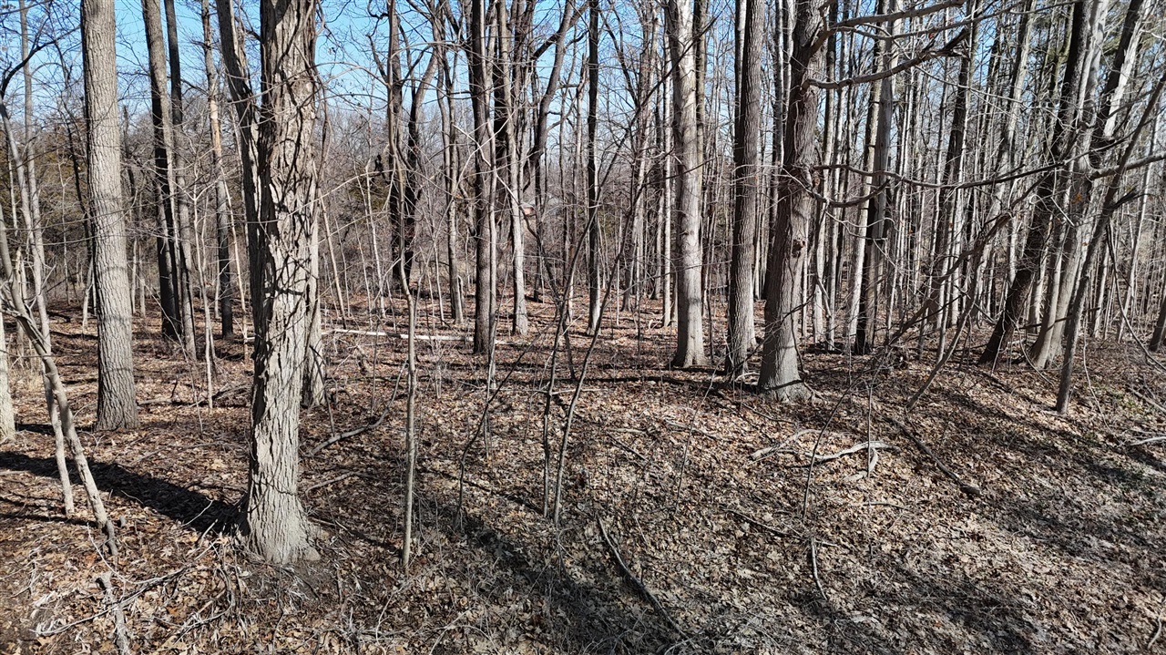 0 Jackman Road, Temperance, MI, 48182