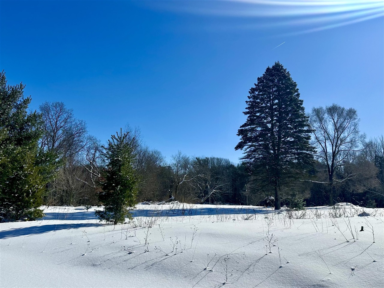 1504 M139, Benton Harbor, MI, 49022-5714