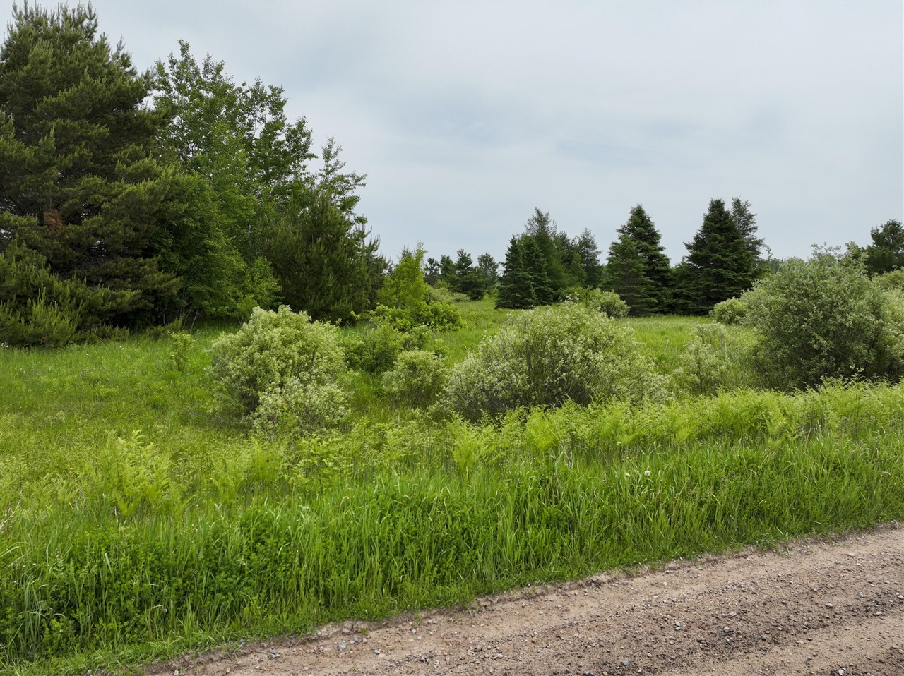 Homes for sale in Rudyard, MI | V/L 99A S Forrest Side Rd, Rudyard, MI 49780 | MLS# 70513075