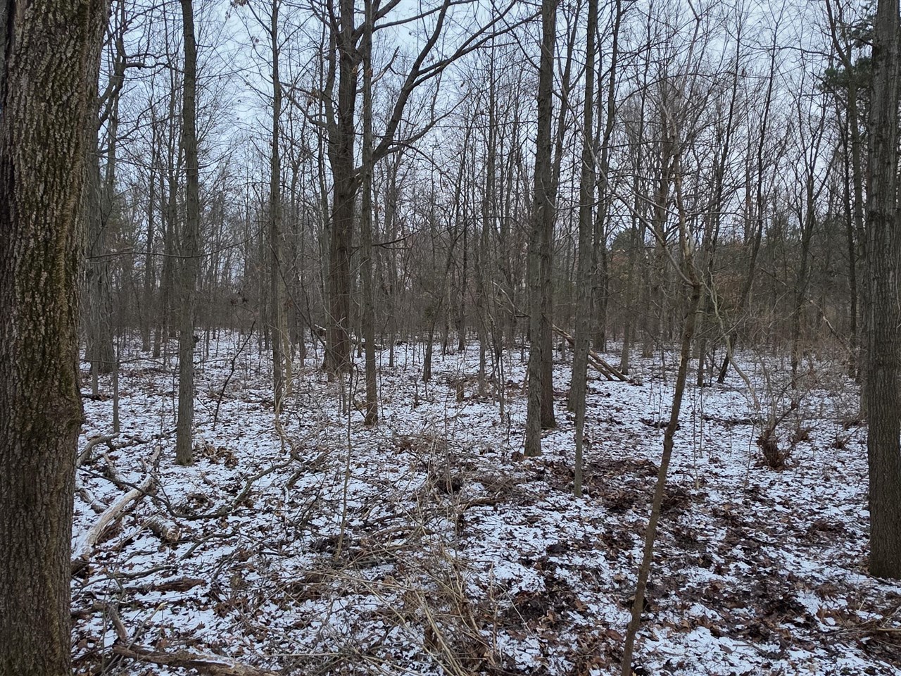 Homes for sale in Plainwell, MI | V/l Bronson Ave, Plainwell, MI 49080 | MLS# 70513125