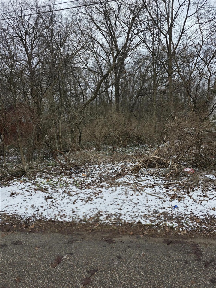 Homes for sale in Plainwell, MI | V/L Bronson Ave, Plainwell, MI 49080 | MLS# 70513125