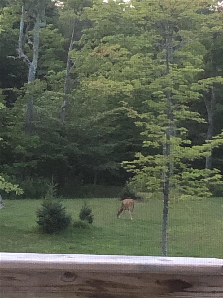 21652 Ridge Road, Update, MI, 49839