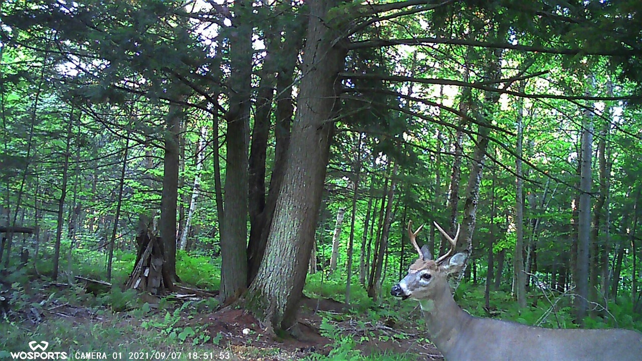 21652 Ridge Road, Update, MI, 49839