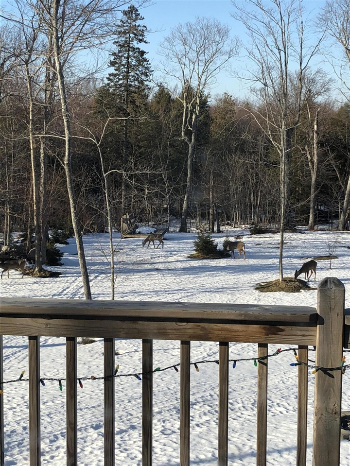 21652 Ridge Road, Update, MI, 49839