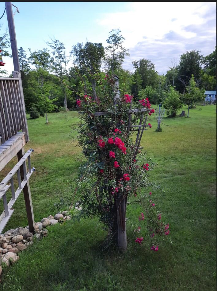 21652 Ridge Road, Update, MI, 49839