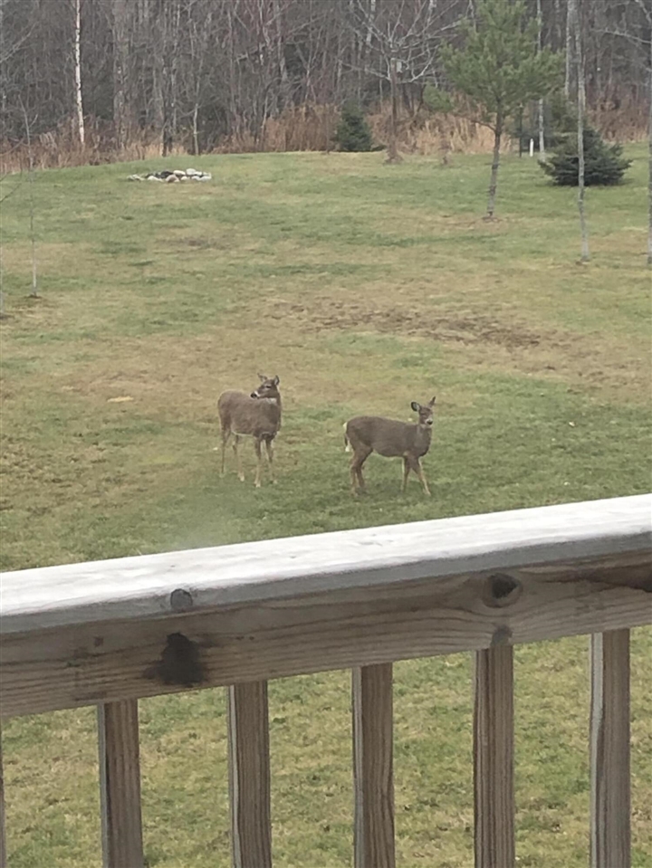 21652 Ridge Road, Update, MI, 49839