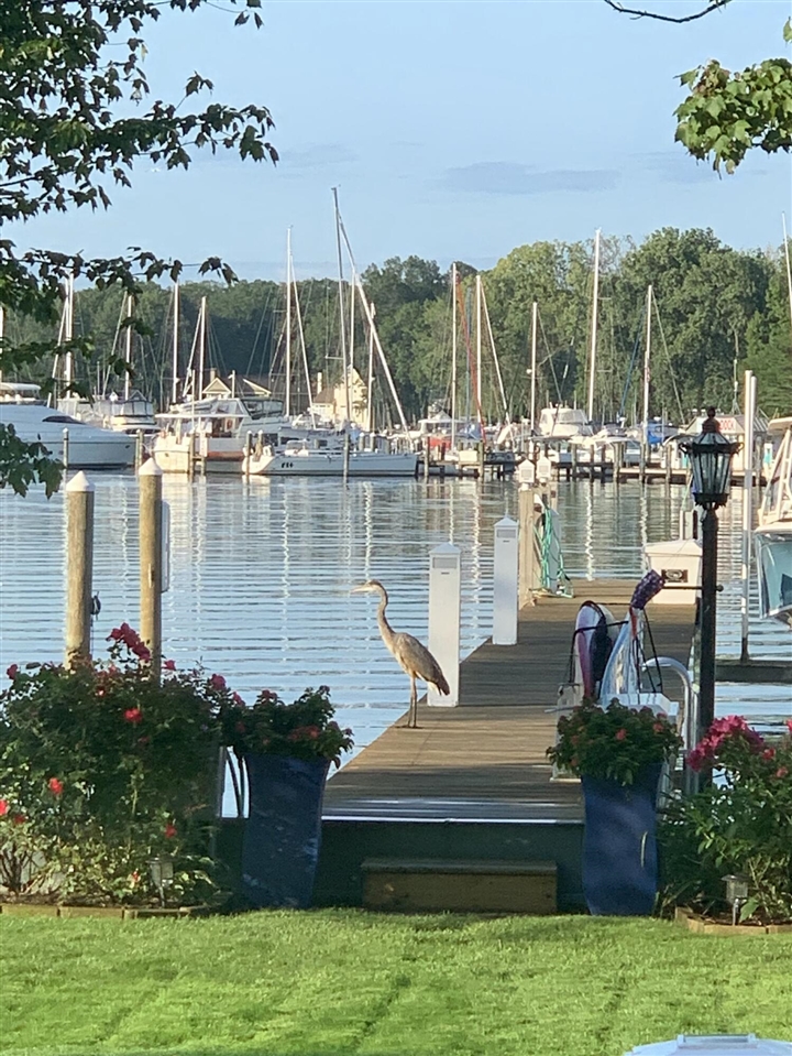 Homes for sale in Holland, MI | 1738 Waukazoo Dr, Holland, MI 49424 | MLS# 70513191