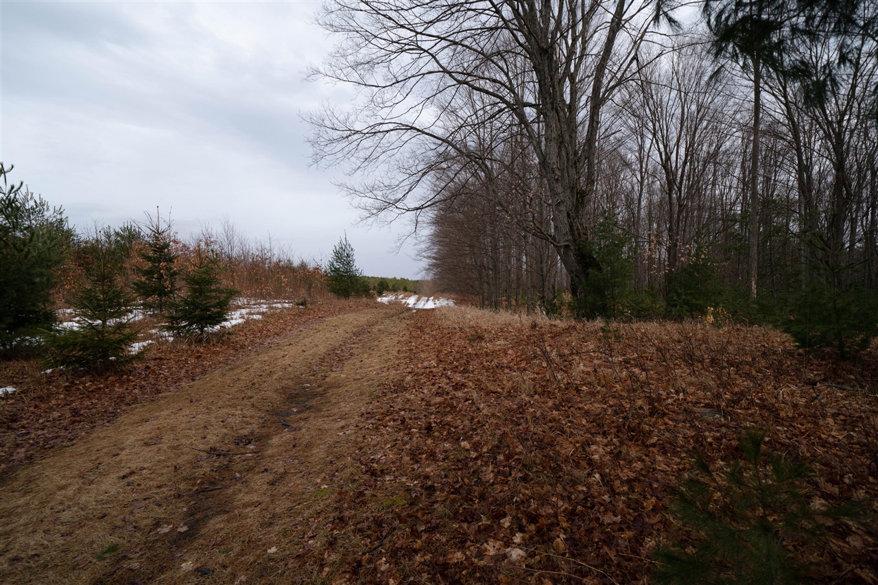 Homes for sale in Luther, MI | V/L 67A E Old M-63, Luther, MI 49656 | MLS# 70513236