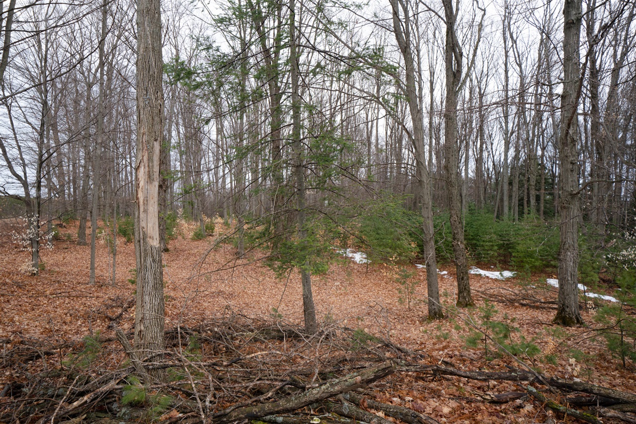 Homes for sale in Luther, MI | V/L 67A E Old M-63, Luther, MI 49656 | MLS# 70513236