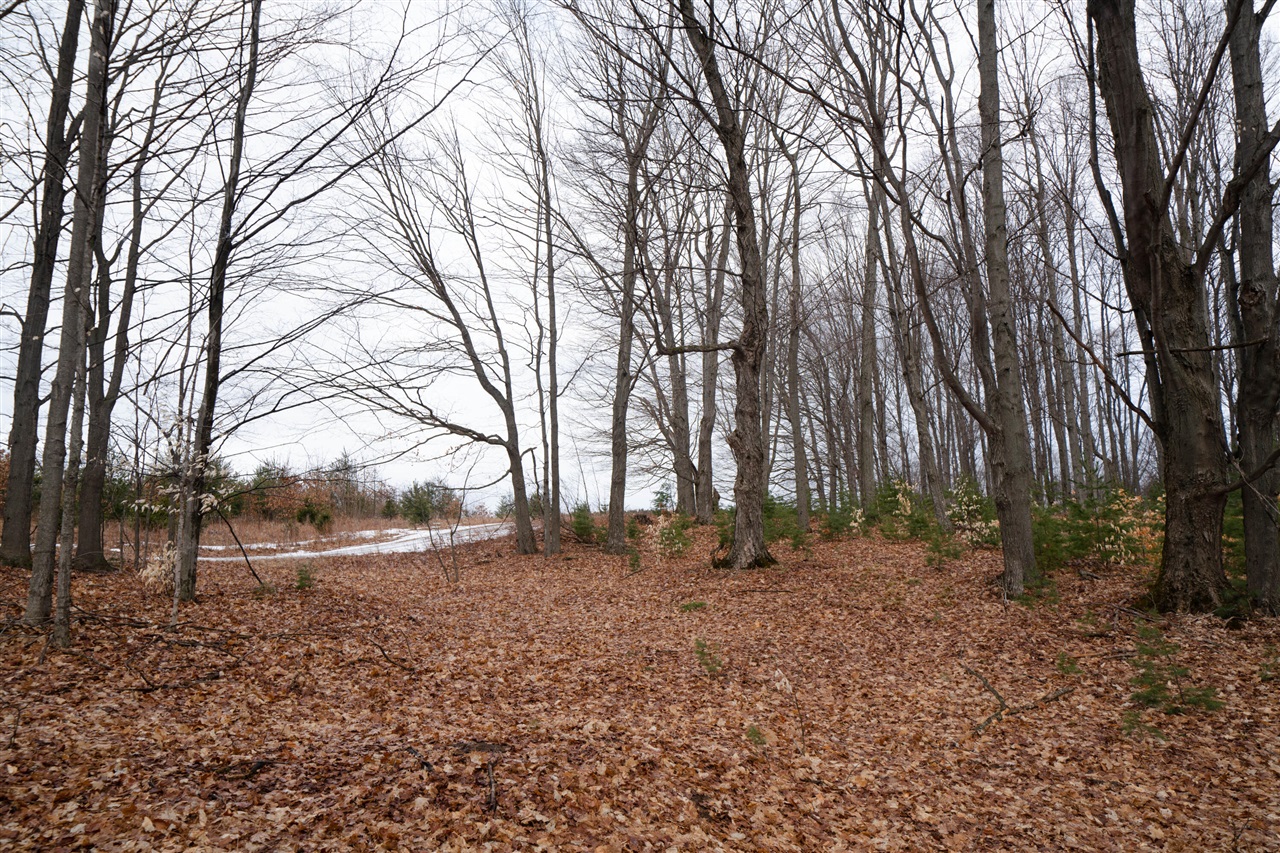 Homes for sale in Luther, MI | V/L 67A E Old M-63, Luther, MI 49656 | MLS# 70513236