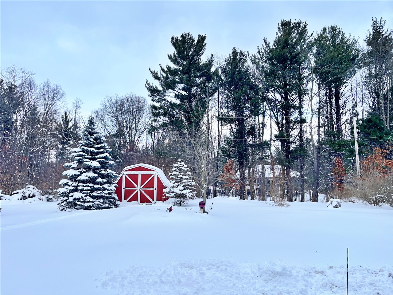 Spring Lake, MI, 49456-2303