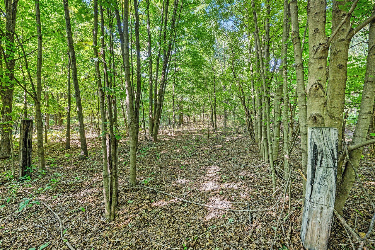 Homes for sale in Paw Paw, MI | V/L 56Th Ave, Paw Paw, MI 49079 | MLS# 70513256