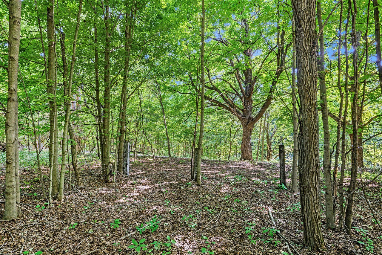 Homes for sale in Paw Paw, MI | V/L 56Th Ave, Paw Paw, MI 49079 | MLS# 70513256