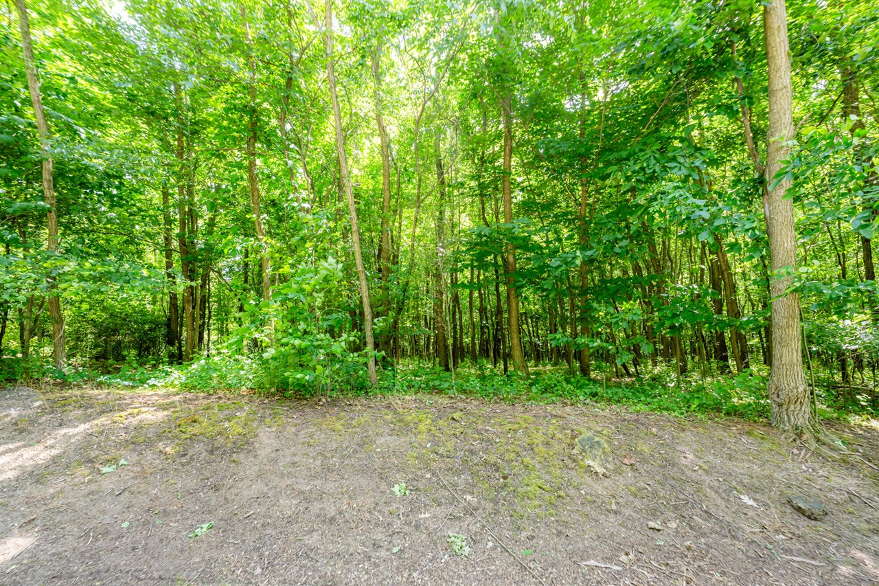 4172 Pine Wood Drive photo 5