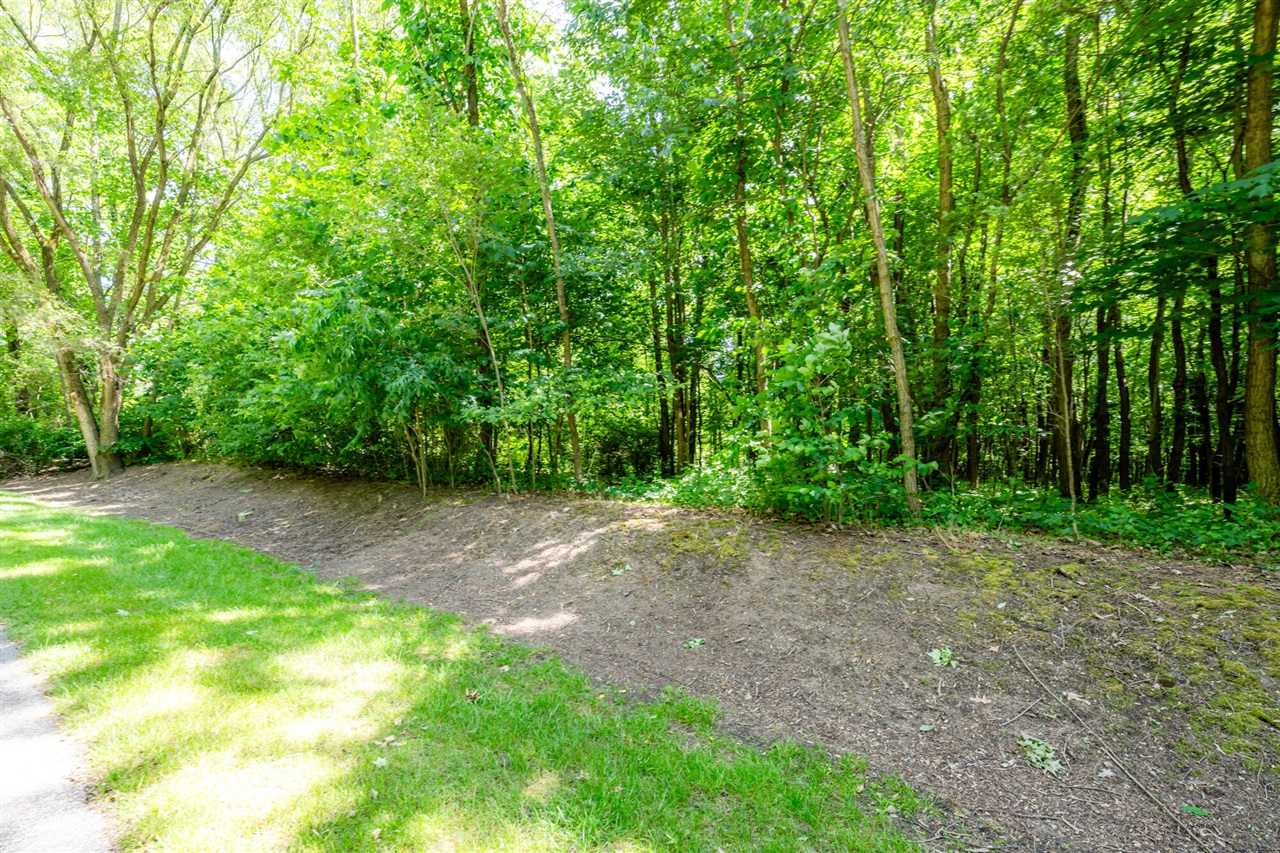 4172 Pine Wood Drive photo 6