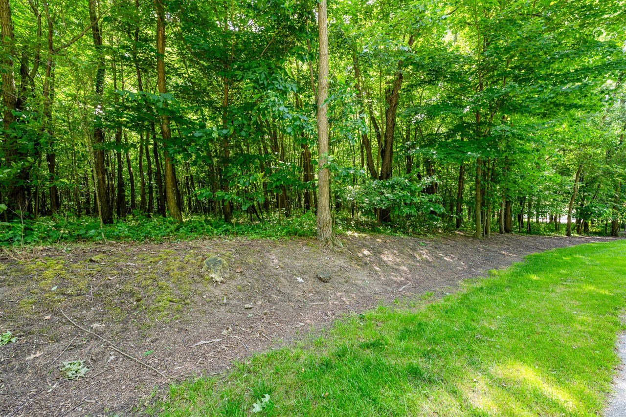 4172 Pine Wood Drive photo 7